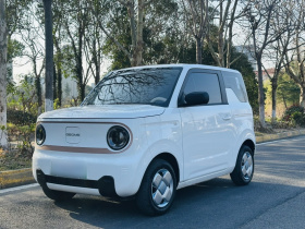 吉利银河 2024款 熊猫mini 200km 耐力熊