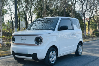 吉利银河 2024款 熊猫mini 200km 耐力熊