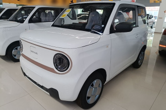 吉利银河 2024款 熊猫mini 200km 耐力熊
