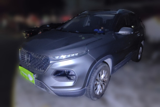 宝骏510 2019款 1.5L 手动乐享型 国V