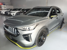 哈弗赤兔 2021款 激擎版 1.5T 黄金兔