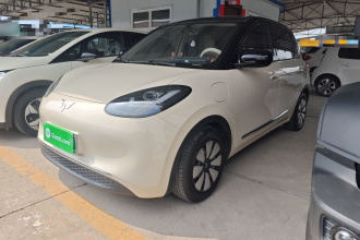 五菱汽车 五菱缤果 2025款 333km 悦享款