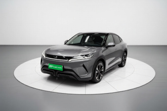 比亚迪 元UP 2024款 401KM 领先型
