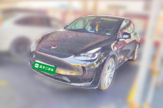 特斯拉 Model Y 2022款 后轮驱动版