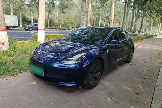 特斯拉 Model 3(进口) 2019款 标准续航后驱升级版