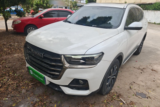 哈弗H6 2021款 国潮版 1.5T 自动都市版