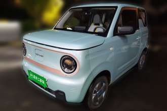 吉利银河 2024款 熊猫mini 200km 耐力熊