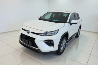丰田 威兰达 2021款 2.0L CVT四驱豪华版