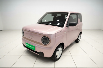 吉利银河 2024款 熊猫mini 200km 耐力熊