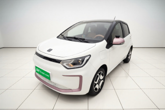 思皓 花仙子 2021款 集美版 302km 豪华型