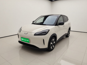 五菱汽车 五菱缤果PLUS 2024款 330km 五座版