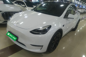 特斯拉 Model Y 2021款 长续航全轮驱动版