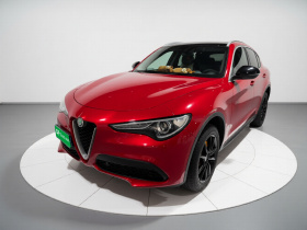 阿尔法·罗密欧 Stelvio斯坦维 2017款 2.0T 200HP 豪华版