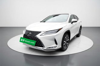 雷克萨斯RX 2020款 300 四驱典雅版 国V