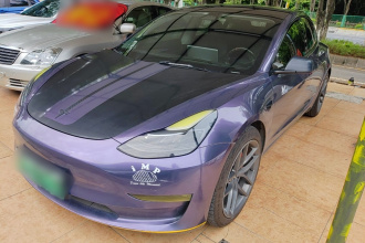 特斯拉 Model 3 2021款 Performance高性能全轮驱动版 3D6