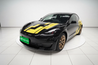 特斯拉 Model 3(进口) 2019款 长续航全轮驱动版