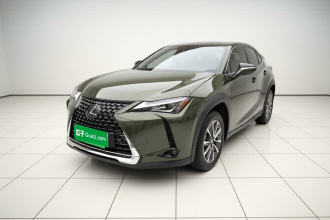 雷克萨斯UX新能源 2020款 300e 纯·享版