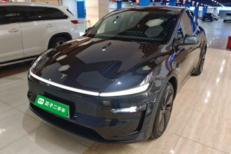特斯拉 Model Y 2025款 后轮驱动版
