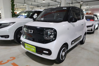 奔腾小马 2025款 222km 闪电马