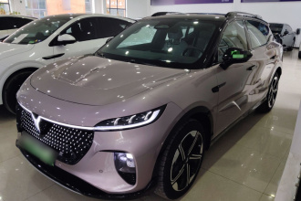 岚图汽车 岚图知音 2024款 四驱全球版