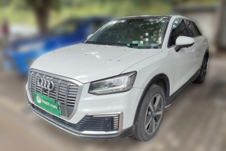 奥迪Q2L e-tron 2019款 Q2L e-tron 纯电智酷型