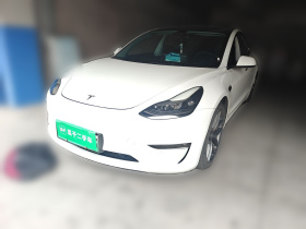 特斯拉 Model 3 2021款 改款二 Performance高性能全轮驱动版