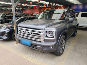 哈弗H9 2024款 2.0T 汽油四驱极境版