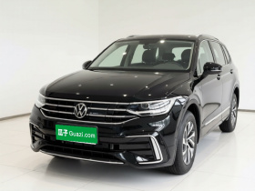 大众 途观L新能源 2023款 430PHEV 插电混动尊贵版