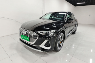 奥迪e-tron 2021款 50 quattro 臻选型