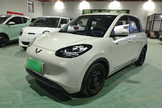五菱汽车 五菱缤果 2023款 203km 轻享款