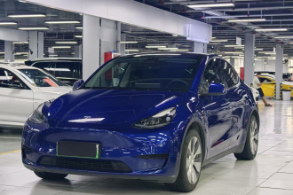 特斯拉 Model Y 2022款 后轮驱动版