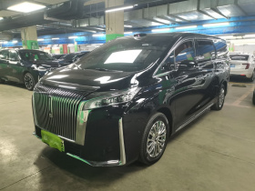 魏牌 高山 2025款 四驱高山9