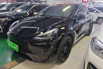 特斯拉 Model Y 2024款 后轮驱动版