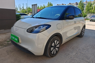 五菱汽车 五菱缤果 2024款 333km 悦享款
