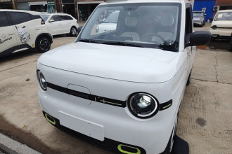 吉利银河 2025款 熊猫mini 210km 元气熊