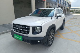 哈弗大狗 2021款 1.5T DCT两驱边牧版
