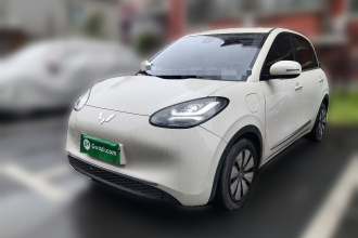 五菱汽车 五菱缤果 2023款 333km 悦享款