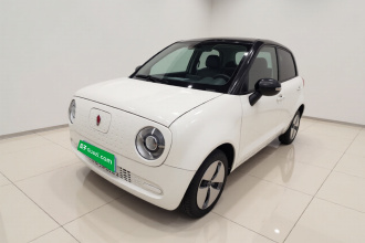 欧拉黑猫 2021款 301km 基础型