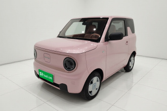 吉利银河 2023款 熊猫mini 200km 耐力熊