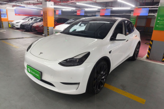 特斯拉 Model Y 2022款 Performance高性能全轮驱动版