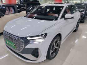 奥迪Q4 e-tron 2022款 50 e-tron quattro 创境版