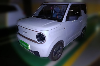 吉利银河 2023款 熊猫mini 新春版宝藏熊