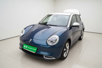 欧拉好猫 2021款 500km长续航 阿波罗版 三元锂