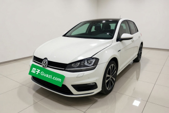 大众 高尔夫 2016款 1.4TSI 自动R-Line