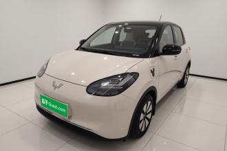 五菱汽车 五菱缤果 2024款 333km 悦享款