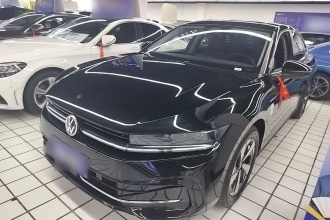 大众 迈腾 2024款  300TSI DSG尊享版显眼包