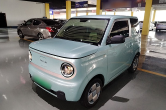 吉利银河 2023款 熊猫mini 200km 耐力熊