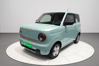 吉利银河 2024款 熊猫mini 200km 耐力熊