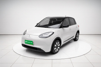 五菱汽车 五菱缤果 2023款 333km 悦享+款