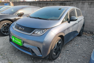 比亚迪 海豚 2024款 荣耀版 420km 自由版